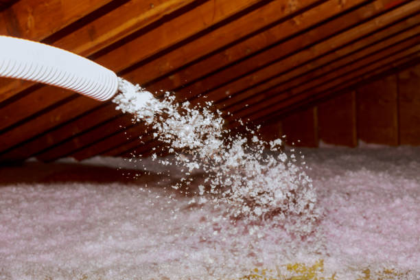 Types of Insulation We Offer in Indianola, WA